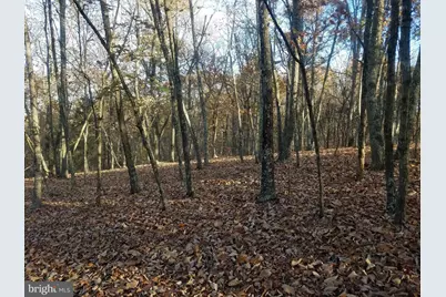 Acorn/Solitude, Romney, WV 26757 - Photo 4