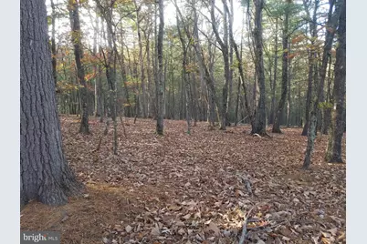 Acorn/Solitude, Romney, WV 26757 - Photo 2