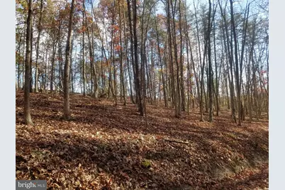 Church Hollow Road, Romney, WV 26757 - Photo 10