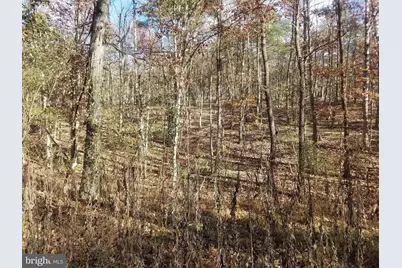 Church Hollow Road, Romney, WV 26757 - Photo 6