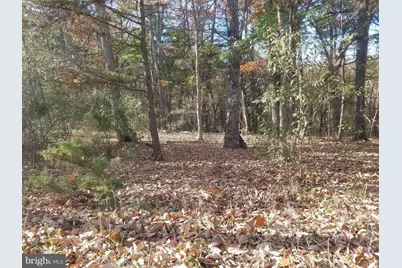 Turkey Hollow Road, Romney, WV 26757 - Photo 1