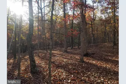 Turkey Hollow Road, Romney, WV 26757 - Photo 2