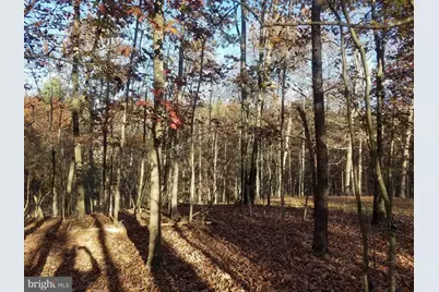 Turkey Hollow Road, Romney, WV 26757 - Photo 4