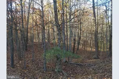 Turkey Hollow Road, Romney, WV 26757 - Photo 12