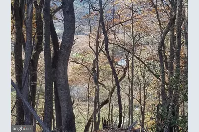 Crystal Mountain View Lane, Romney, WV 26757 - Photo 6