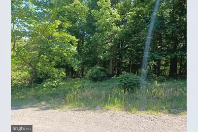 Lot 40 Wild Apple Lane, Paw Paw, WV 25434 - Photo 28