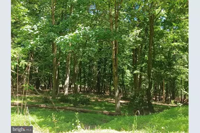 Lot 40 Wild Apple Lane, Paw Paw, WV 25434 - Photo 32