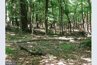 Lot 40 Wild Apple Lane, Paw Paw, WV 25434 - Photo 14