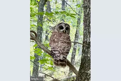 89 Bowers, Paw Paw, WV 25434 - Photo 10