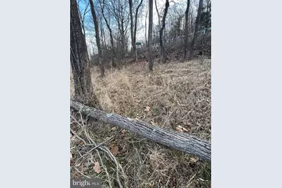 Tbd Hummingbird Lane Lane #LOT 1A, Capon Bridge, WV 26711 - Photo 4