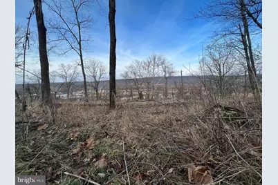 Tbd Hummingbird Lane Lane #LOT 1A, Capon Bridge, WV 26711 - Photo 6