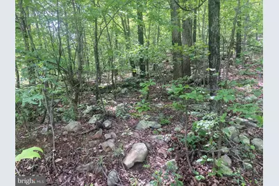 840 Falconwood Drive, Paw Paw, WV 25434 - Photo 2