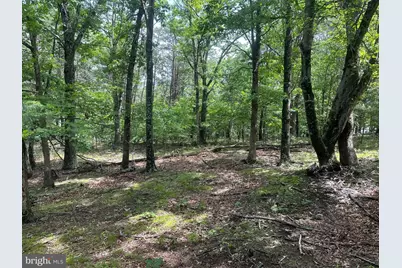 2.23 Ac Doe Trail, Springfield, WV 26763 - Photo 4