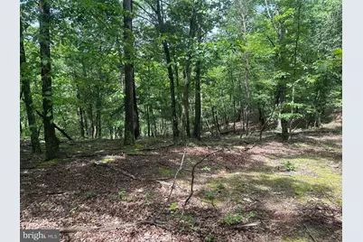 2.23 Ac Doe Trail, Springfield, WV 26763 - Photo 6