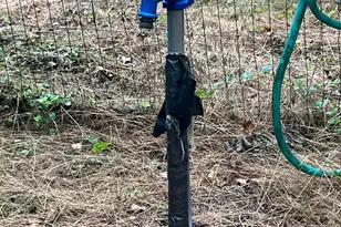 1250 Feller, Levels, WV 25431 - Photo 22