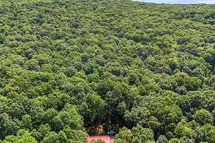 480 High Mountain Rd, Romney, WV 26757 - Photo 40
