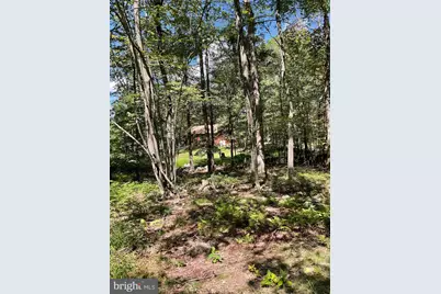 624 Mountain Lion Lane, Augusta, WV 26704 - Photo 34