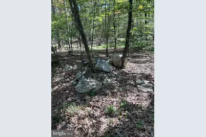 624 Mountain Lion Lane, Augusta, WV 26704 - Photo 30