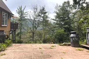 444 Nugget Dr, Capon Bridge, WV 26711 - Photo 2