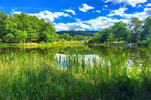 117 Lake View Dr, Augusta, WV 26704 - Photo 14