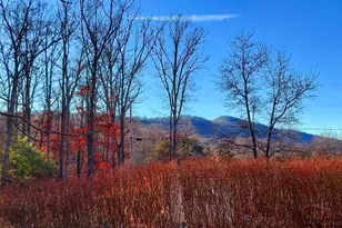 117 Lake View Dr, Augusta, WV 26704 - Photo 4