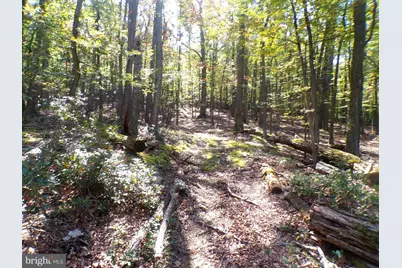 Big Horn Trail #E-16, Augusta, WV 26704 - Photo 1