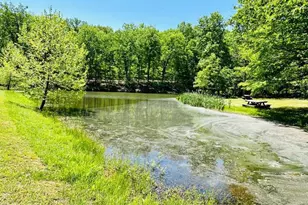 2370 Kerns School Rd, Springfield, WV 26763 - Photo 42