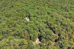 2370 Kerns School Rd, Springfield, WV 26763 - Photo 32