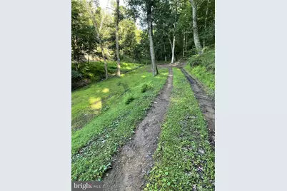 3837 Graces Cabin, Springfield, WV 26763 - Photo 64