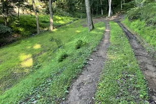 3837 Graces Cabin, Springfield, WV 26763 - Photo 64