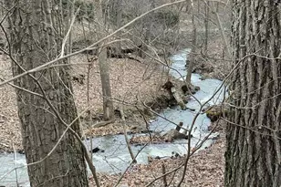 3837 Graces Cabin, Springfield, WV 26763 - Photo 62