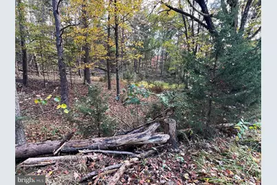 Lot 6 Deep Run Hollow Road, Delray, WV 26714 - Photo 18