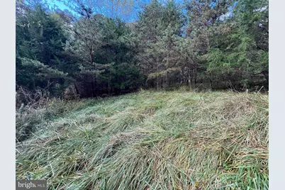 Lot 6 Deep Run Hollow Road, Delray, WV 26714 - Photo 4