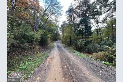 Lot 6 Deep Run Hollow Road, Delray, WV 26714 - Photo 14