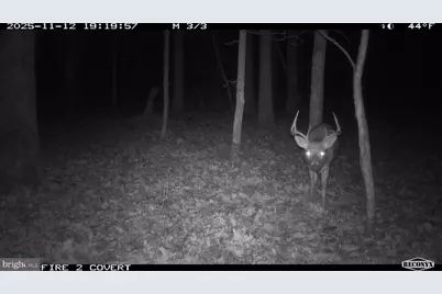 3536 Jr Rannells Road, Points, WV 25437 - Photo 48