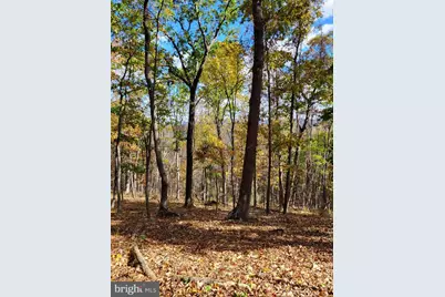3536 Jr Rannells Road, Points, WV 25437 - Photo 24