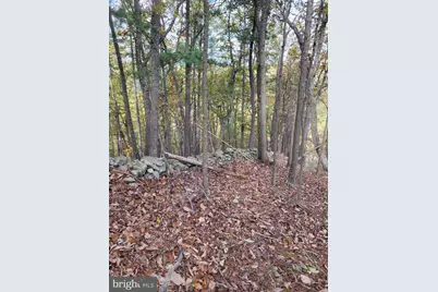 3536 Jr Rannells Road, Points, WV 25437 - Photo 40