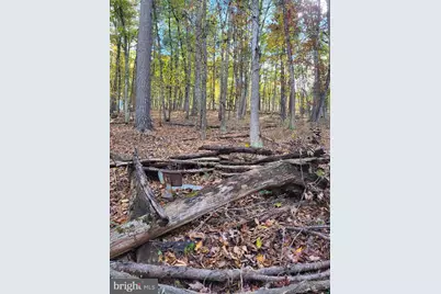 3536 Jr Rannells Road, Points, WV 25437 - Photo 36