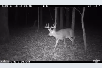 3536 Jr Rannells Road, Points, WV 25437 - Photo 2