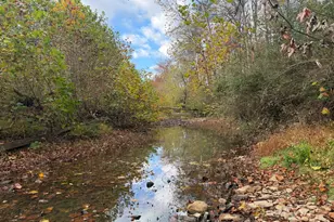 1232 Croston Rd, Paw Paw, WV 25434 - Photo 1