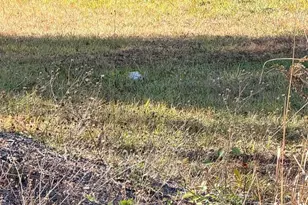 4485 Smokey Hollow Rd, Bloomery, WV 26817 - Photo 62