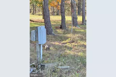 4485 Smokey Hollow Rd, Bloomery, WV 26817 - Photo 56