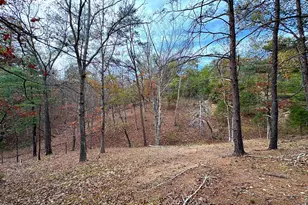 6 92 Ac Purgitsville Pike, Purgitsville, WV 26852 - Photo 1