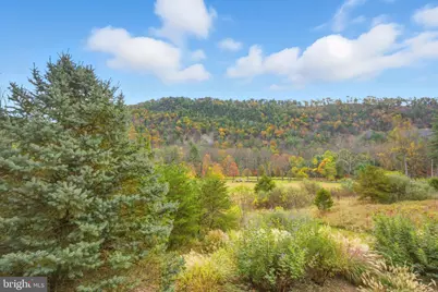 767 Twin Flower Lane, Capon Bridge, WV 26711 - Photo 8