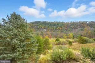 767 Twin Flower Ln, Capon Bridge, WV 26711 - Photo 8