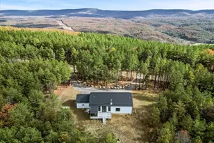 1110 Reymann Dr, Yellow Spring, WV 26865 - Photo 60