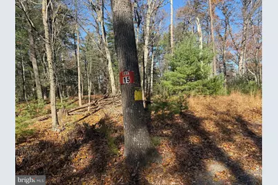 Laurel Dale Court, Capon Bridge, WV 26711 - Photo 1