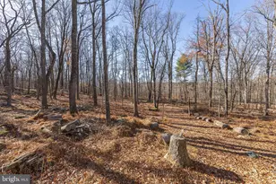 1060 Buffalo Rdg Rd, Augusta, WV 26704 - Photo 46