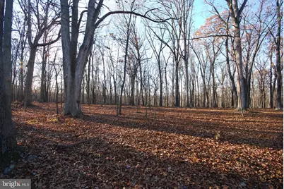 Lot 67 Mill Mountain Road, Romney, WV 26757 - Photo 12