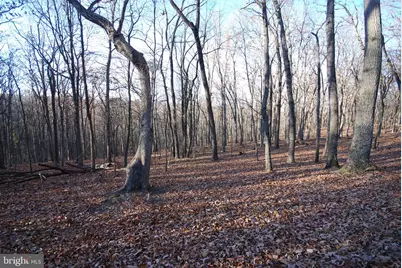 Lot 67 Mill Mountain Road, Romney, WV 26757 - Photo 14